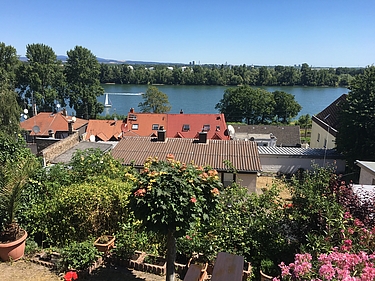 Der Rhein bei Weisenau
